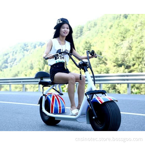 2016 New Citycoco 2 wheels electric motorcycle, citycoco scooter